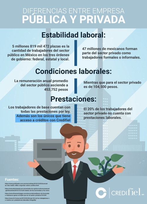 Diferencias Entre Empresa Privada Y Pública 1170