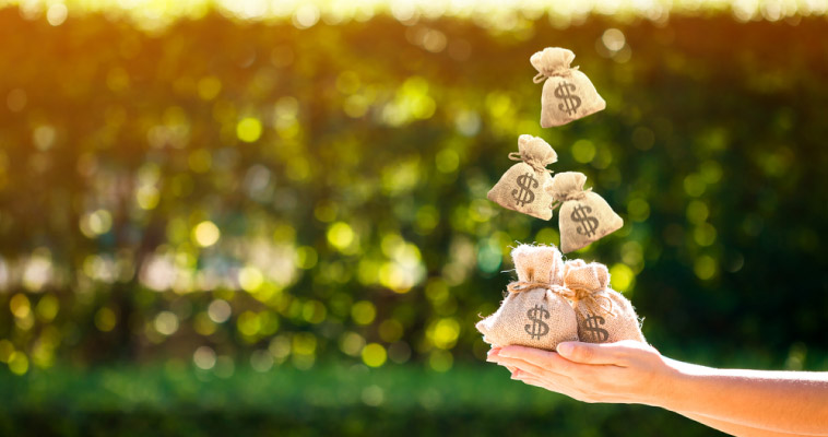art-06-Haz-crecer-tu-ahorro